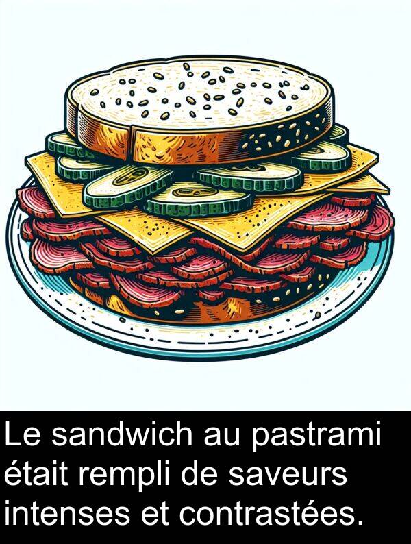 saveurs: Le sandwich au pastrami était rempli de saveurs intenses et contrastées.