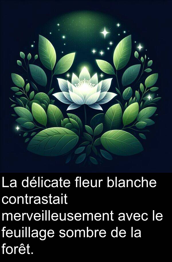 blanche: La délicate fleur blanche contrastait merveilleusement avec le feuillage sombre de la forêt.