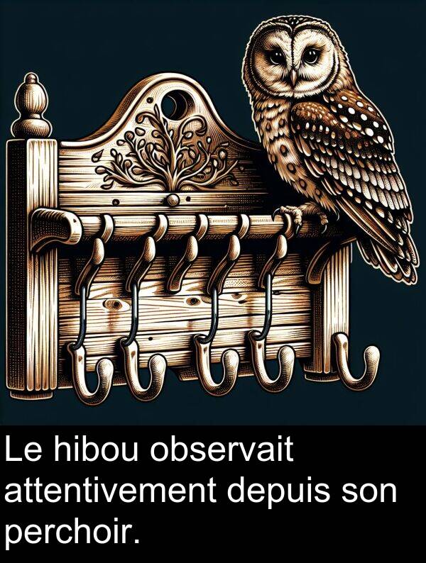 observait: Le hibou observait attentivement depuis son perchoir.