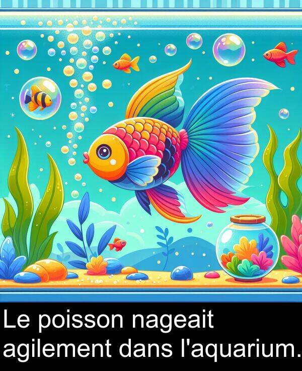 dans: Le poisson nageait agilement dans l'aquarium.