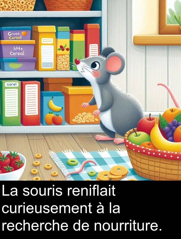 reniflait: La souris reniflait curieusement à la recherche de nourriture.