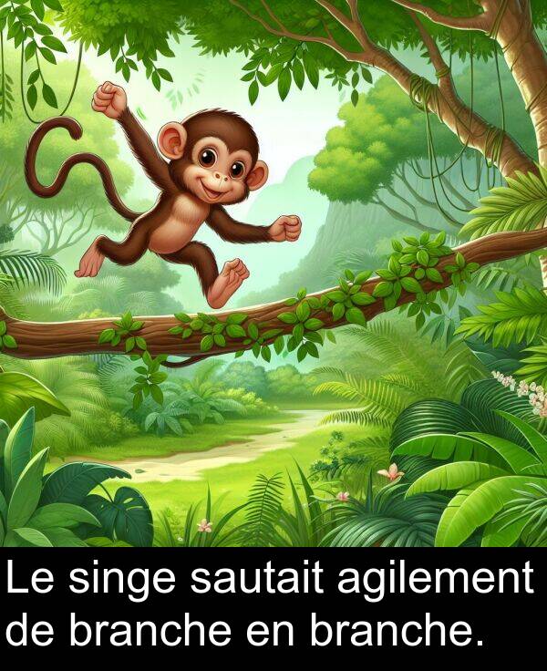 sautait: Le singe sautait agilement de branche en branche.