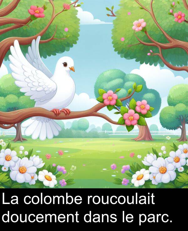 dans: La colombe roucoulait doucement dans le parc.