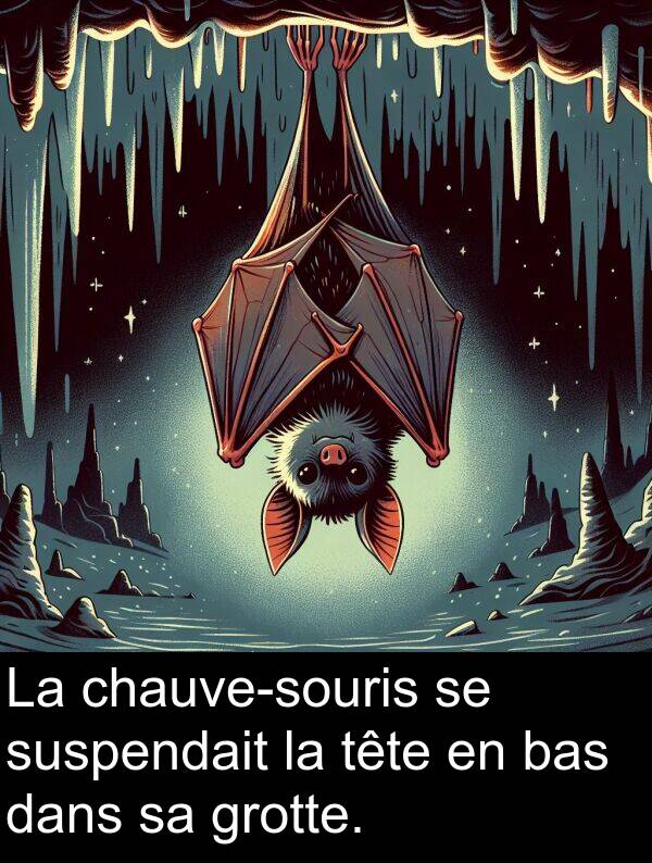 bas: La chauve-souris se suspendait la tête en bas dans sa grotte.