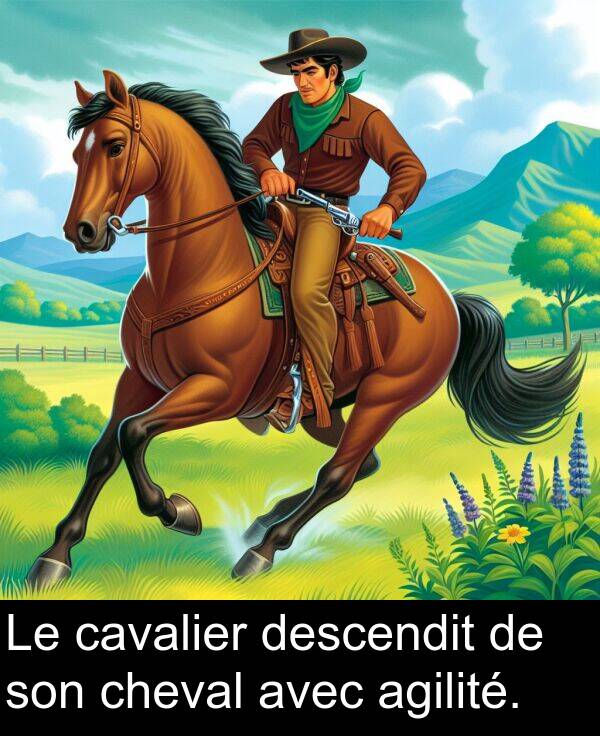 agilité: Le cavalier descendit de son cheval avec agilité.