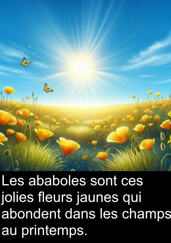 jaunes: Les ababoles sont ces jolies fleurs jaunes qui abondent dans les champs au printemps.