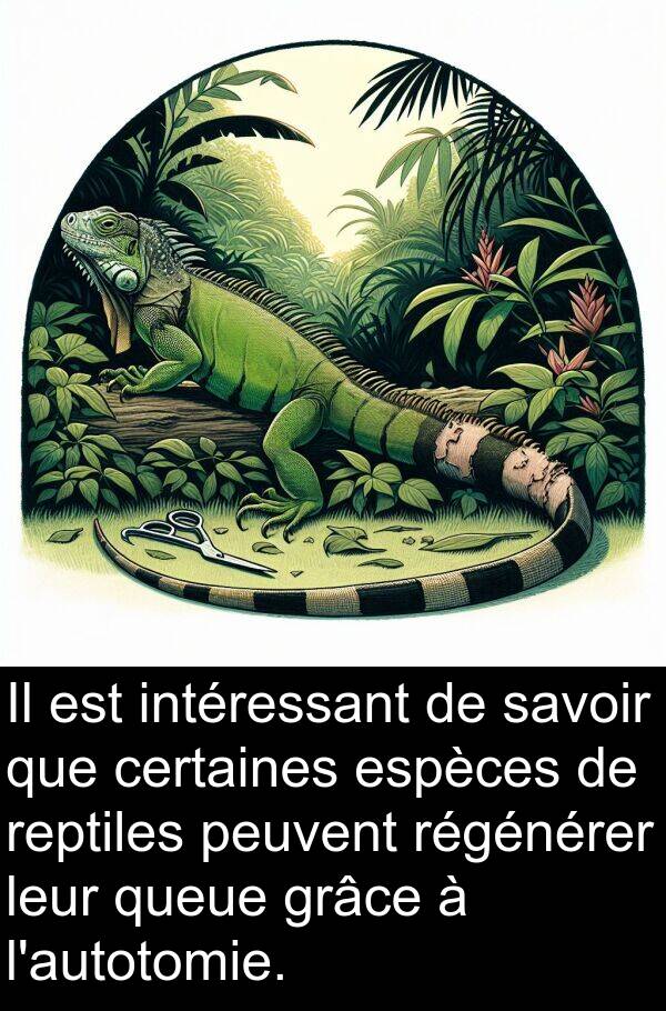 savoir: Il est intéressant de savoir que certaines espèces de reptiles peuvent régénérer leur queue grâce à l'autotomie.