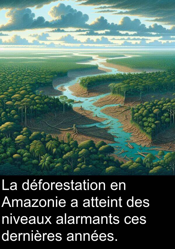 niveaux: La déforestation en Amazonie a atteint des niveaux alarmants ces dernières années.