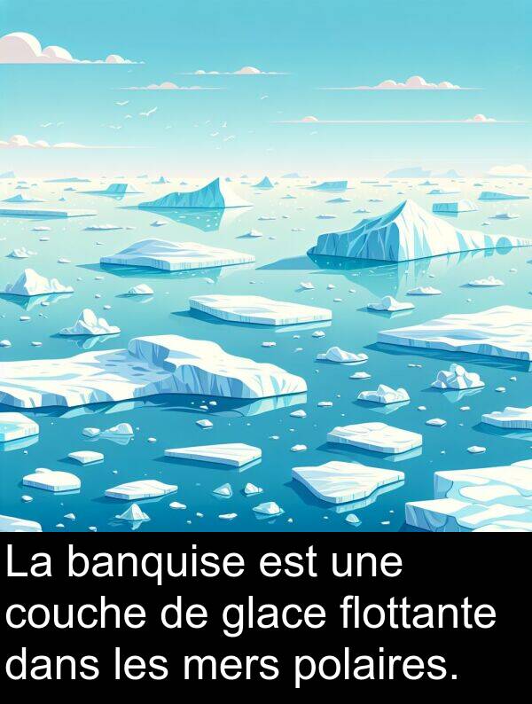 glace: La banquise est une couche de glace flottante dans les mers polaires.