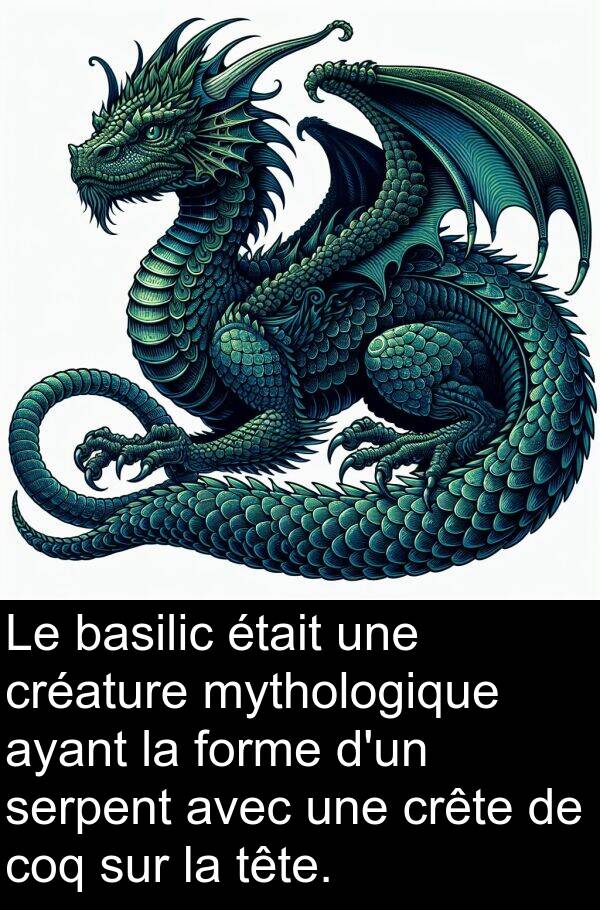 basilic: Le basilic était une créature mythologique ayant la forme d'un serpent avec une crête de coq sur la tête.