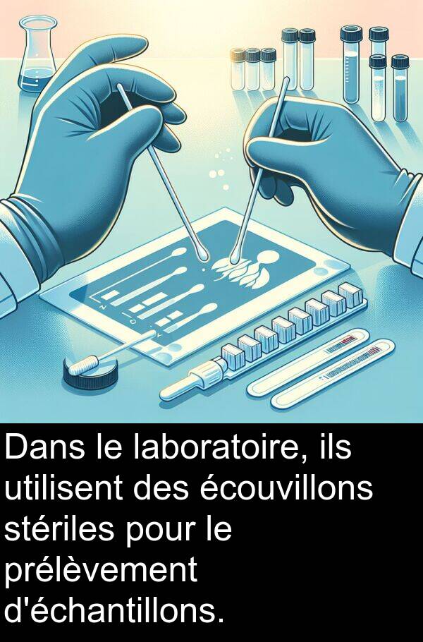 écouvillons: Dans le laboratoire, ils utilisent des écouvillons stériles pour le prélèvement d'échantillons.