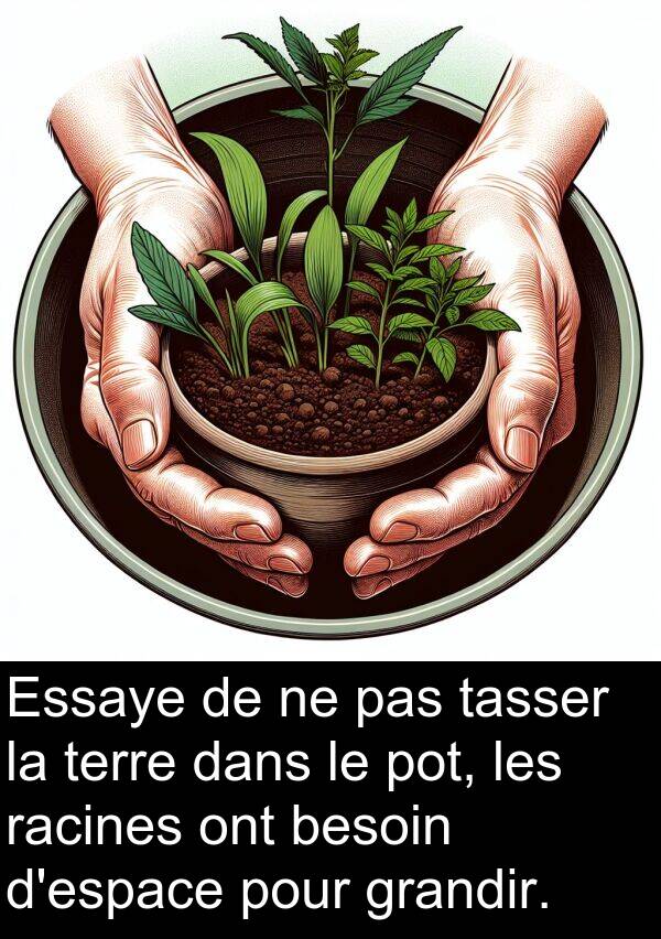 tasser: Essaye de ne pas tasser la terre dans le pot, les racines ont besoin d'espace pour grandir.