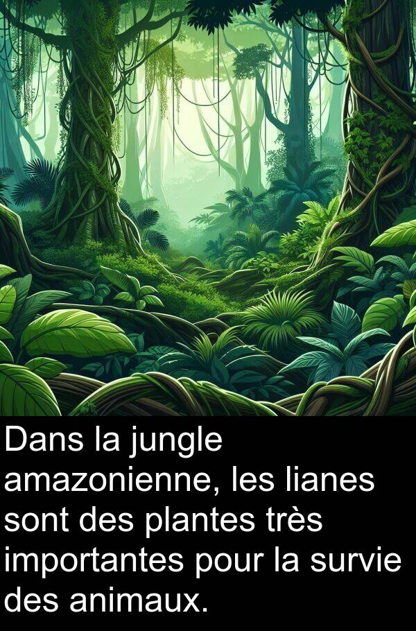 jungle: Dans la jungle amazonienne, les lianes sont des plantes très importantes pour la survie des animaux.