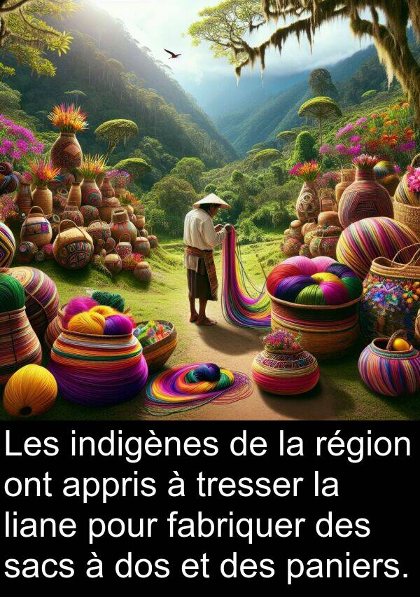 liane: Les indigènes de la région ont appris à tresser la liane pour fabriquer des sacs à dos et des paniers.