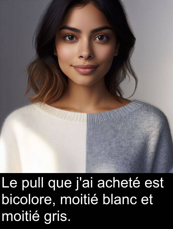 blanc: Le pull que j'ai acheté est bicolore, moitié blanc et moitié gris.