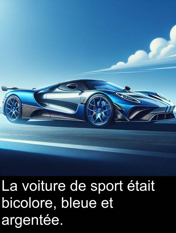 sport: La voiture de sport était bicolore, bleue et argentée.