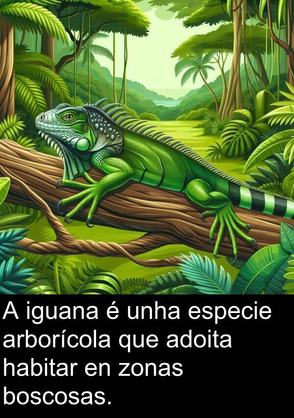 especie: A iguana é unha especie arborícola que adoita habitar en zonas boscosas.