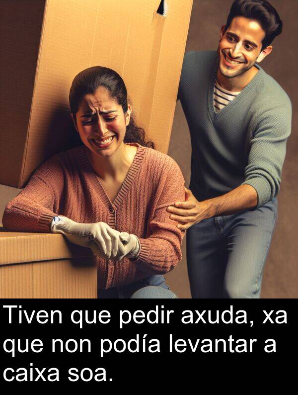 pedir: Tiven que pedir axuda, xa que non podía levantar a caixa soa.