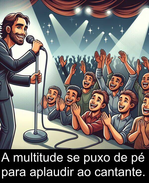 multitude: A multitude se puxo de pé para aplaudir ao cantante.