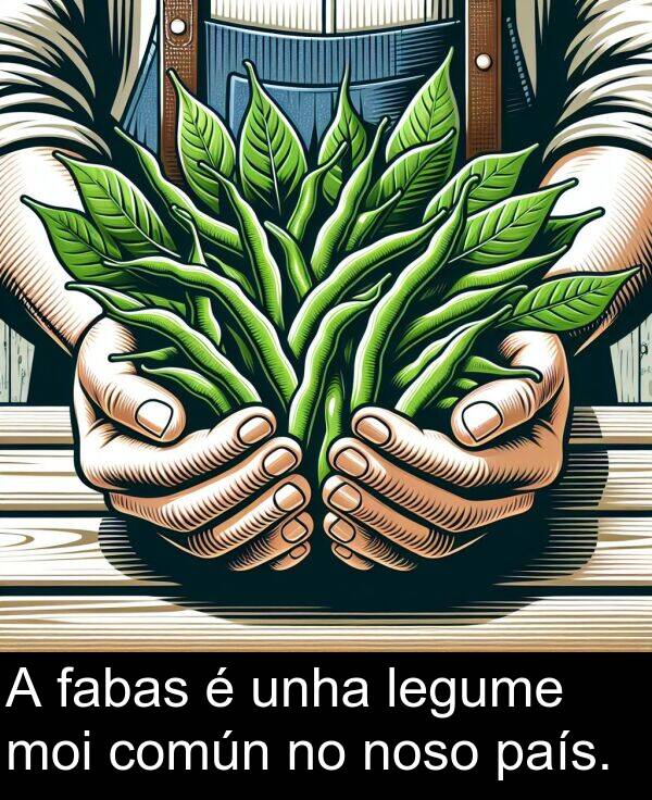 común: A fabas é unha legume moi común no noso país.