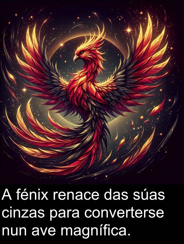 renace: A fénix renace das súas cinzas para converterse nun ave magnífica.