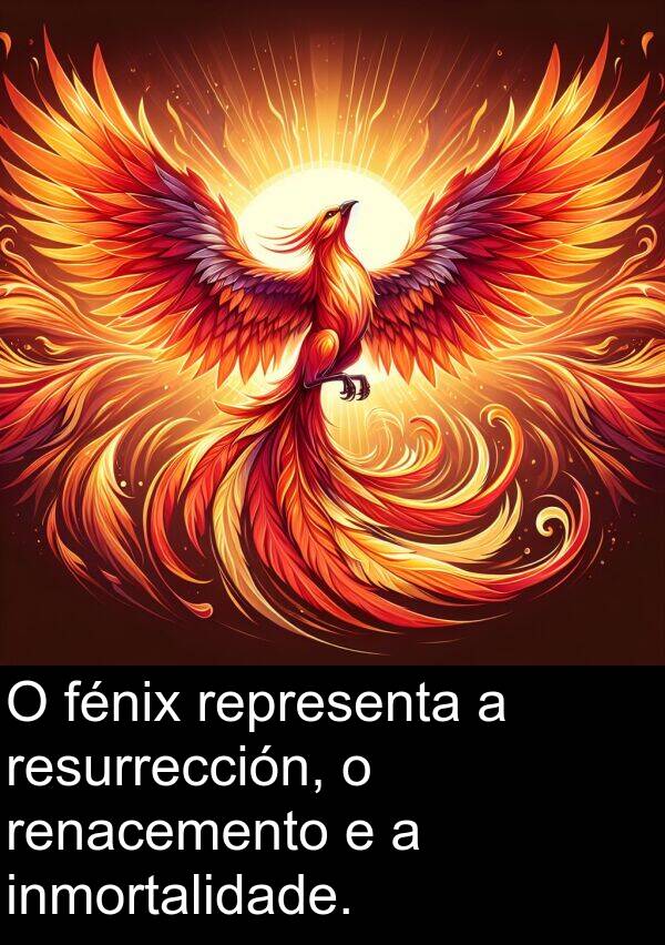 representa: O fénix representa a resurrección, o renacemento e a inmortalidade.