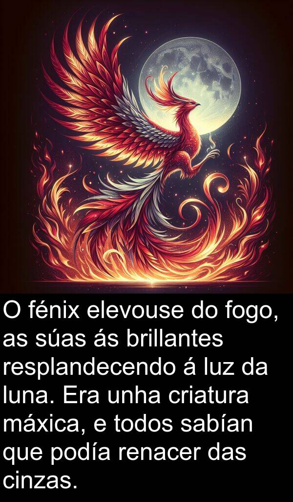 resplandecendo: O fénix elevouse do fogo, as súas ás brillantes resplandecendo á luz da luna. Era unha criatura máxica, e todos sabían que podía renacer das cinzas.