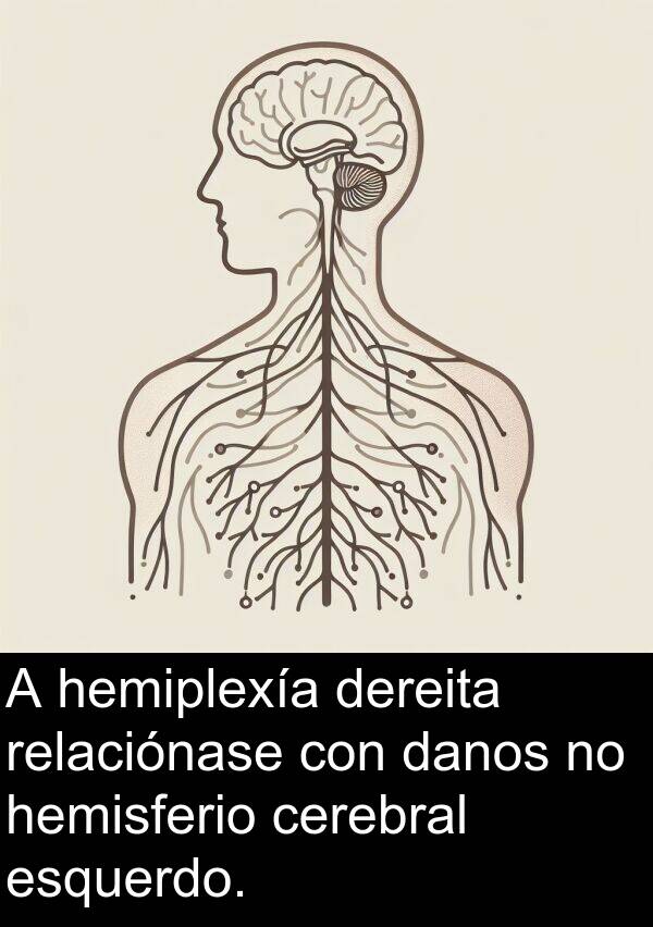 relaciónase: A hemiplexía dereita relaciónase con danos no hemisferio cerebral esquerdo.