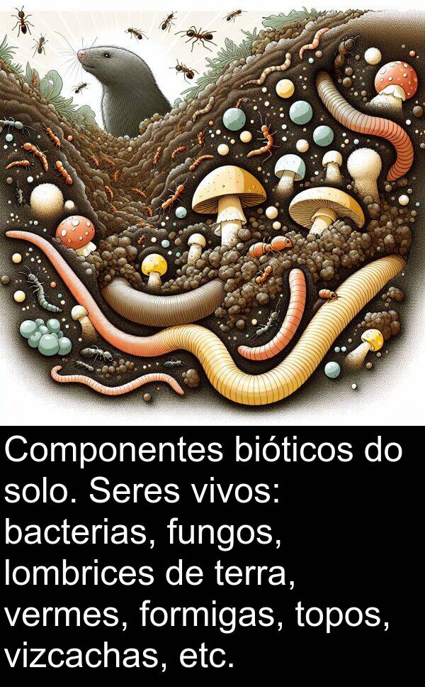 fungos: Componentes bióticos do solo. Seres vivos: bacterias, fungos, lombrices de terra, vermes, formigas, topos, vizcachas, etc.