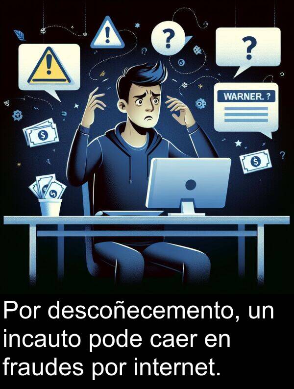 internet: Por descoñecemento, un incauto pode caer en fraudes por internet.