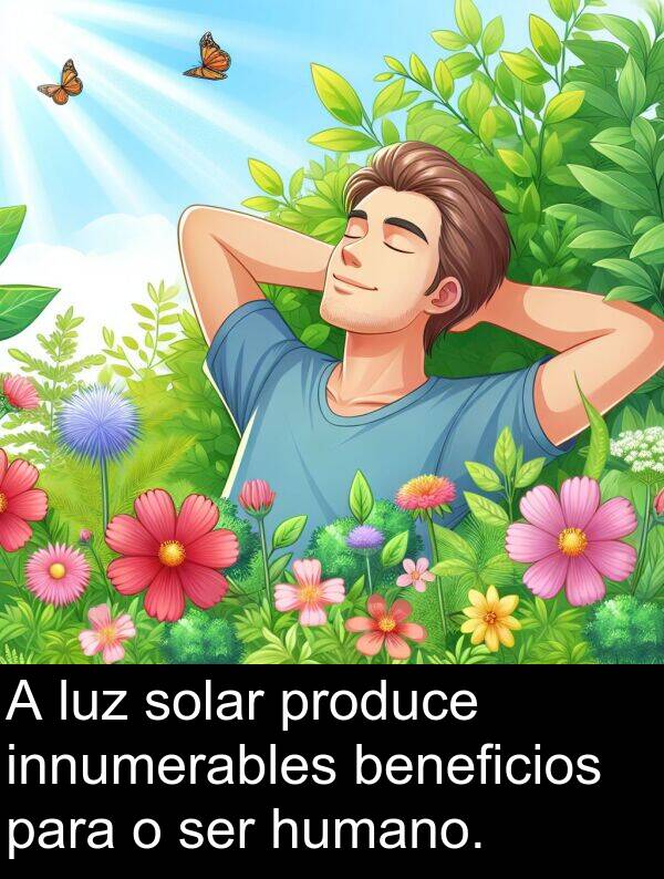 ser: A luz solar produce innumerables beneficios para o ser humano.