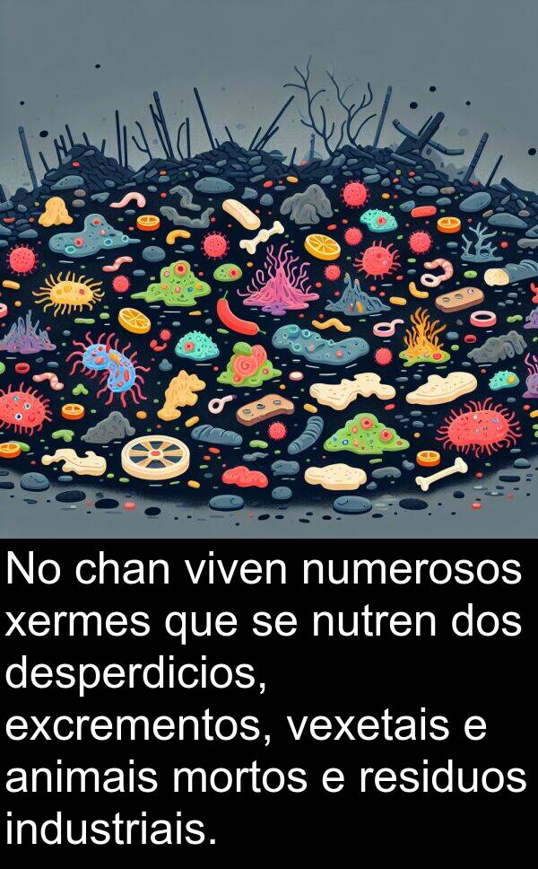 excrementos: No chan viven numerosos xermes que se nutren dos desperdicios, excrementos, vexetais e animais mortos e residuos industriais.