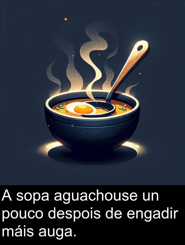 engadir: A sopa aguachouse un pouco despois de engadir máis auga.