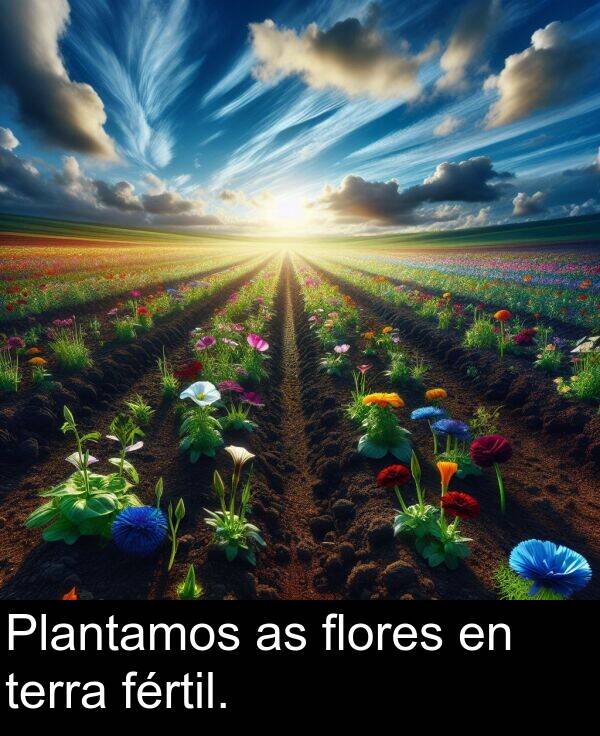 terra: Plantamos as flores en terra fértil.