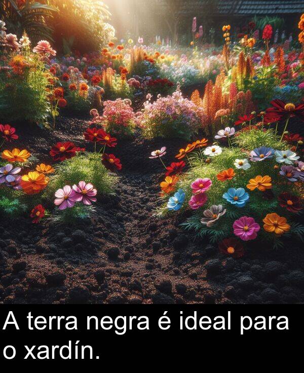 terra: A terra negra é ideal para o xardín.