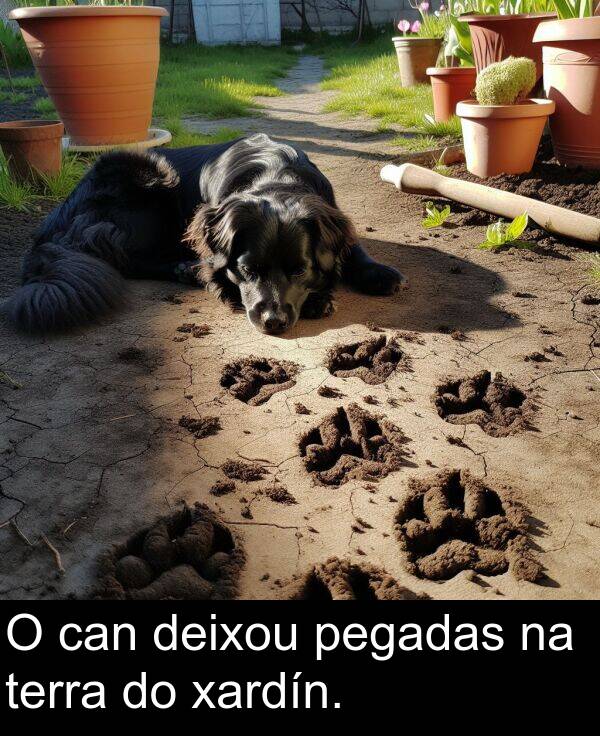 terra: O can deixou pegadas na terra do xardín.