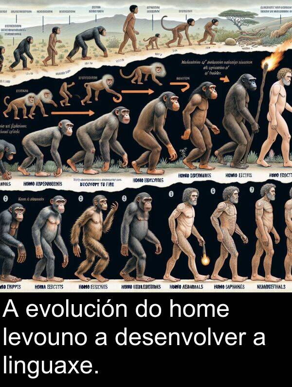 evolución: A evolución do home levouno a desenvolver a linguaxe.