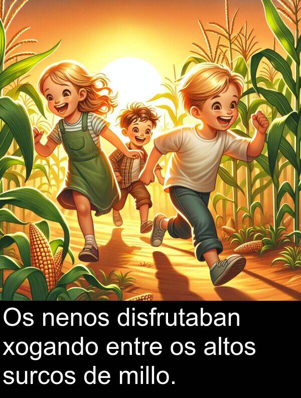 entre: Os nenos disfrutaban xogando entre os altos surcos de millo.