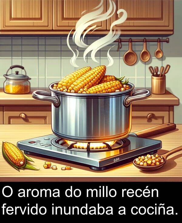 recén: O aroma do millo recén fervido inundaba a cociña.
