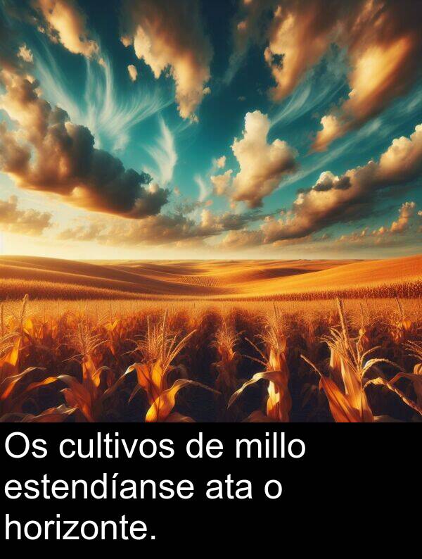 estendíanse: Os cultivos de millo estendíanse ata o horizonte.