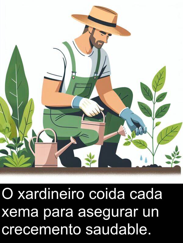 saudable: O xardineiro coida cada xema para asegurar un crecemento saudable.