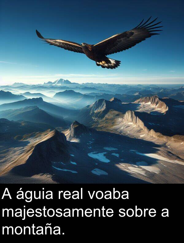 real: A águia real voaba majestosamente sobre a montaña.