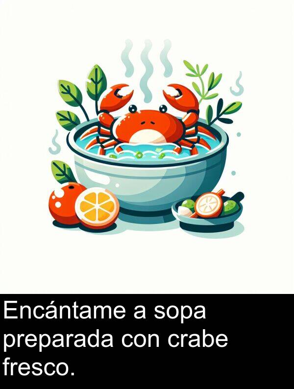 fresco: Encántame a sopa preparada con crabe fresco.