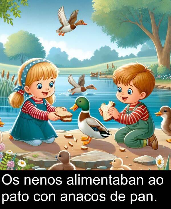 pato: Os nenos alimentaban ao pato con anacos de pan.