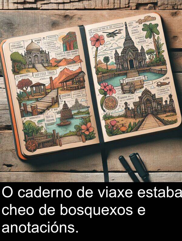 bosquexos: O caderno de viaxe estaba cheo de bosquexos e anotacións.