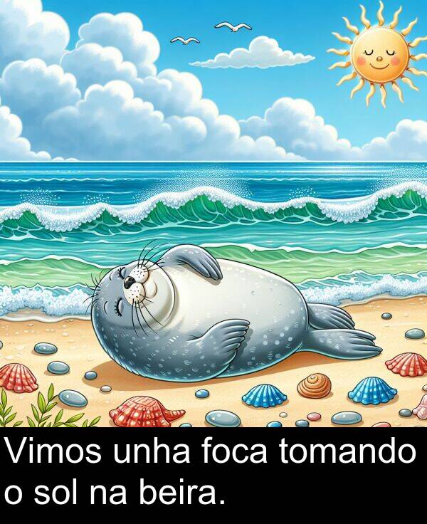 sol: Vimos unha foca tomando o sol na beira.