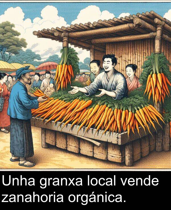 granxa: Unha granxa local vende zanahoria orgánica.