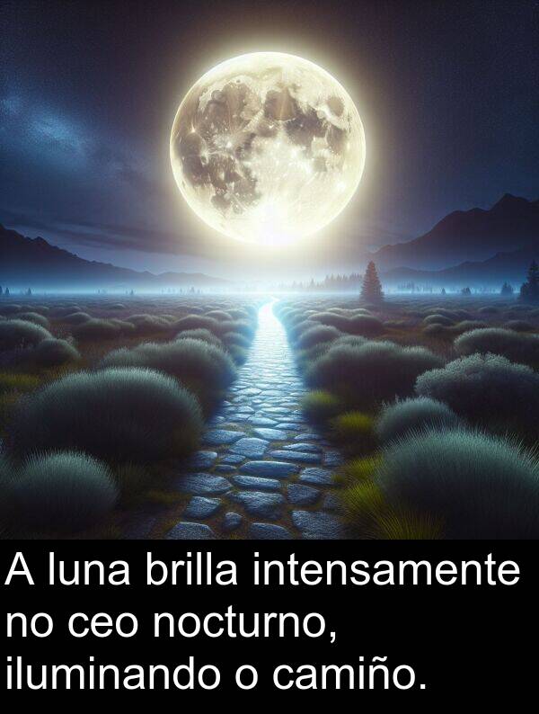 brilla: A luna brilla intensamente no ceo nocturno, iluminando o camiño.