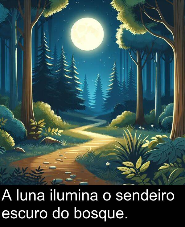 escuro: A luna ilumina o sendeiro escuro do bosque.