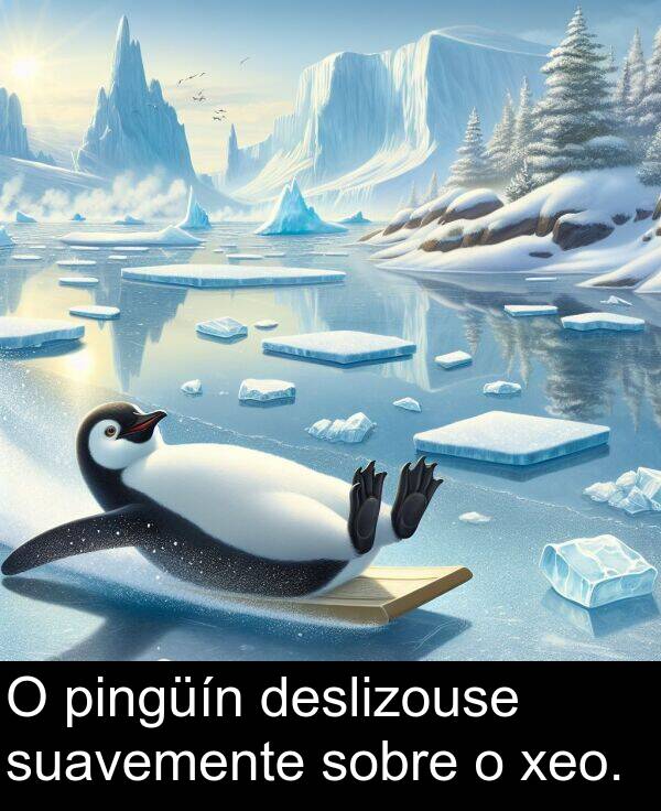 pingüín: O pingüín deslizouse suavemente sobre o xeo.